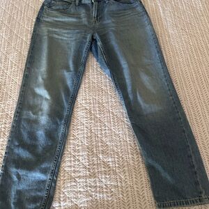 Everlane Blue Straight Jeans Classic Style